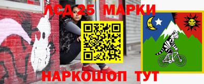 твердый Пугачёв
