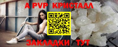 твердый Пугачёв