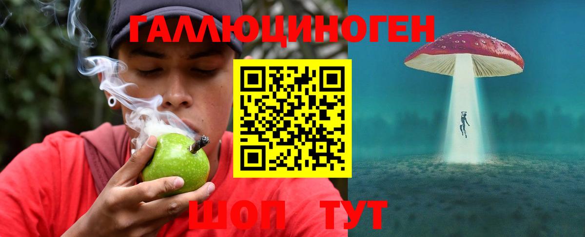 Псилоцибиновые грибы Psilocybine cubensis  Вход с VPN  Прокопьевск  Псилоцибиновые грибы MAGIC MUSHROOMS 